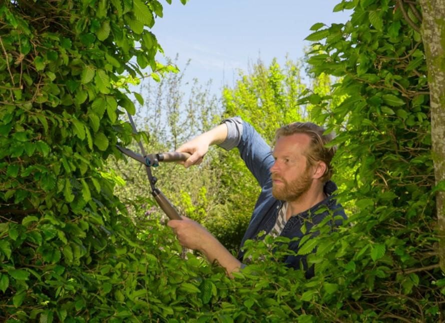 Gardena 1230020 Naturecut Çit Makası - Bulutretail